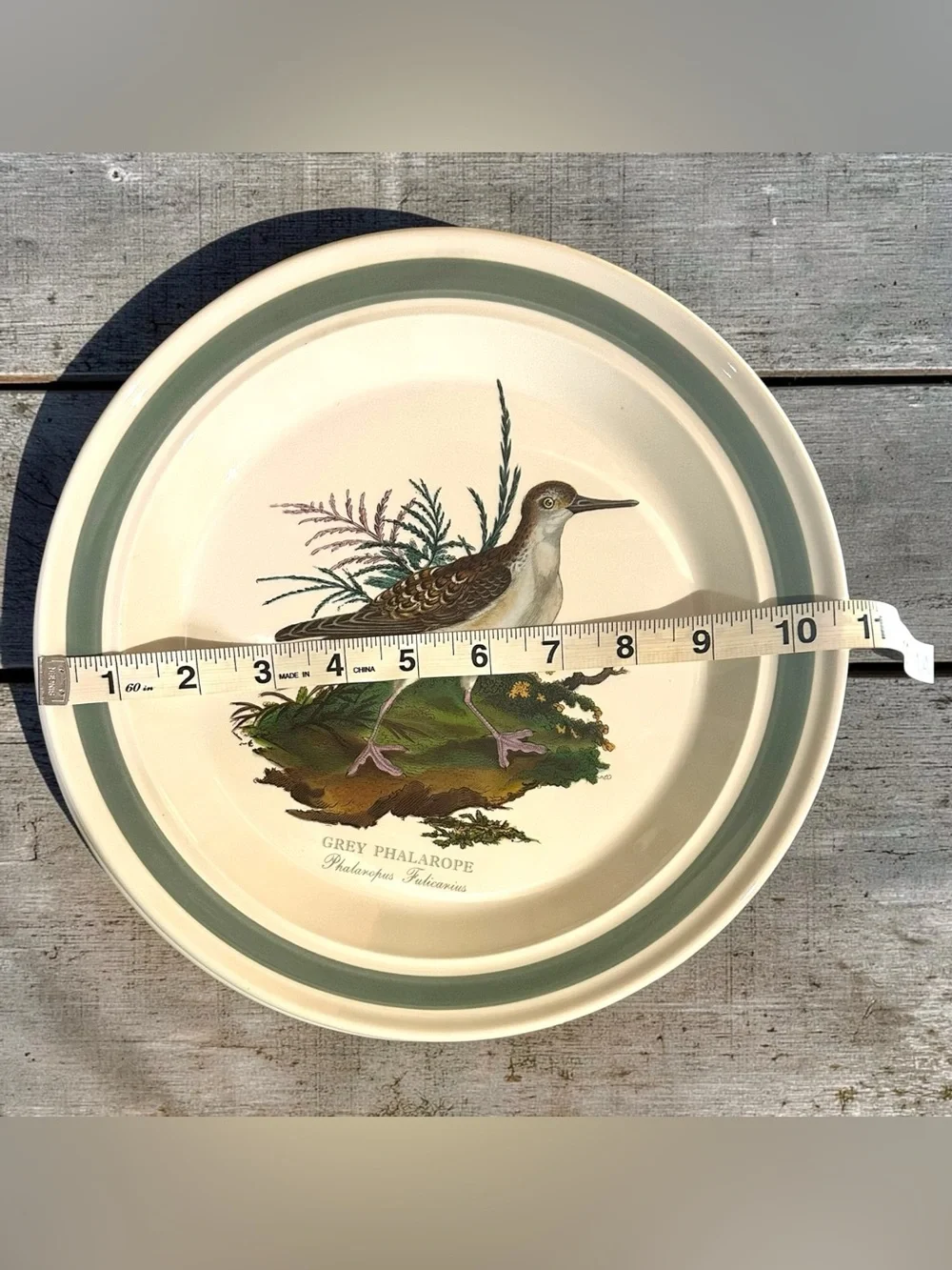 Vintage Portmeirion Birds of Britain 11” Plates Set of 6 Green Band 1978